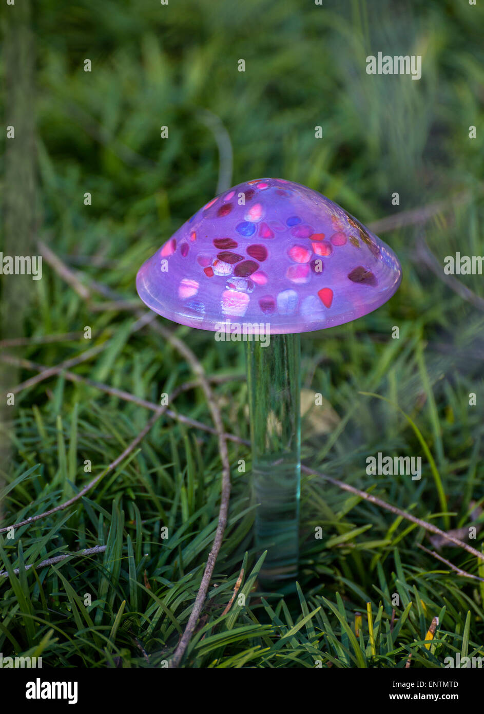 Seta para jardín fotografías e imágenes de alta resolución Alamy