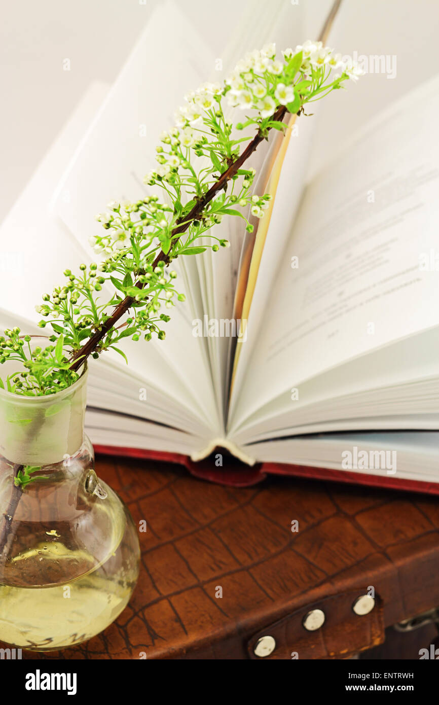 Libro Abierto y una ramita de plantas en floración con frasco de vidrio en una maleta de cuero Foto de stock