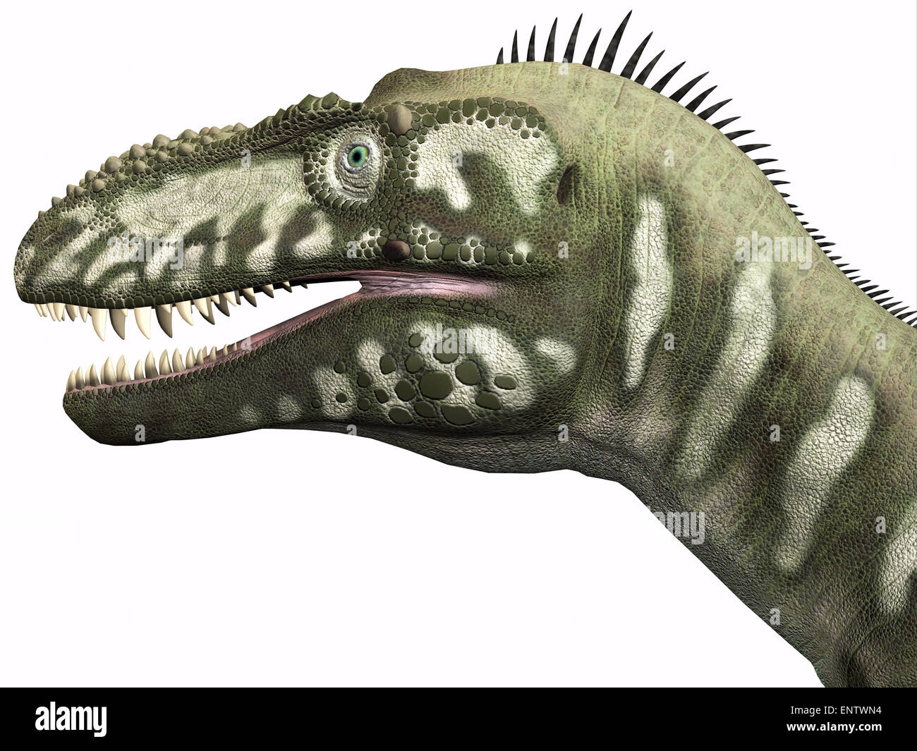 Bistahieversor fue un dinosaurio carnívoro que vivió en el período Cretácico de Nuevo México Fotografía de stock - Alamy Bistahieversor fue un dinosaurio carnívoro que vivió en el período Cretácico de Nuevo México Fotografía de stock - Alamy