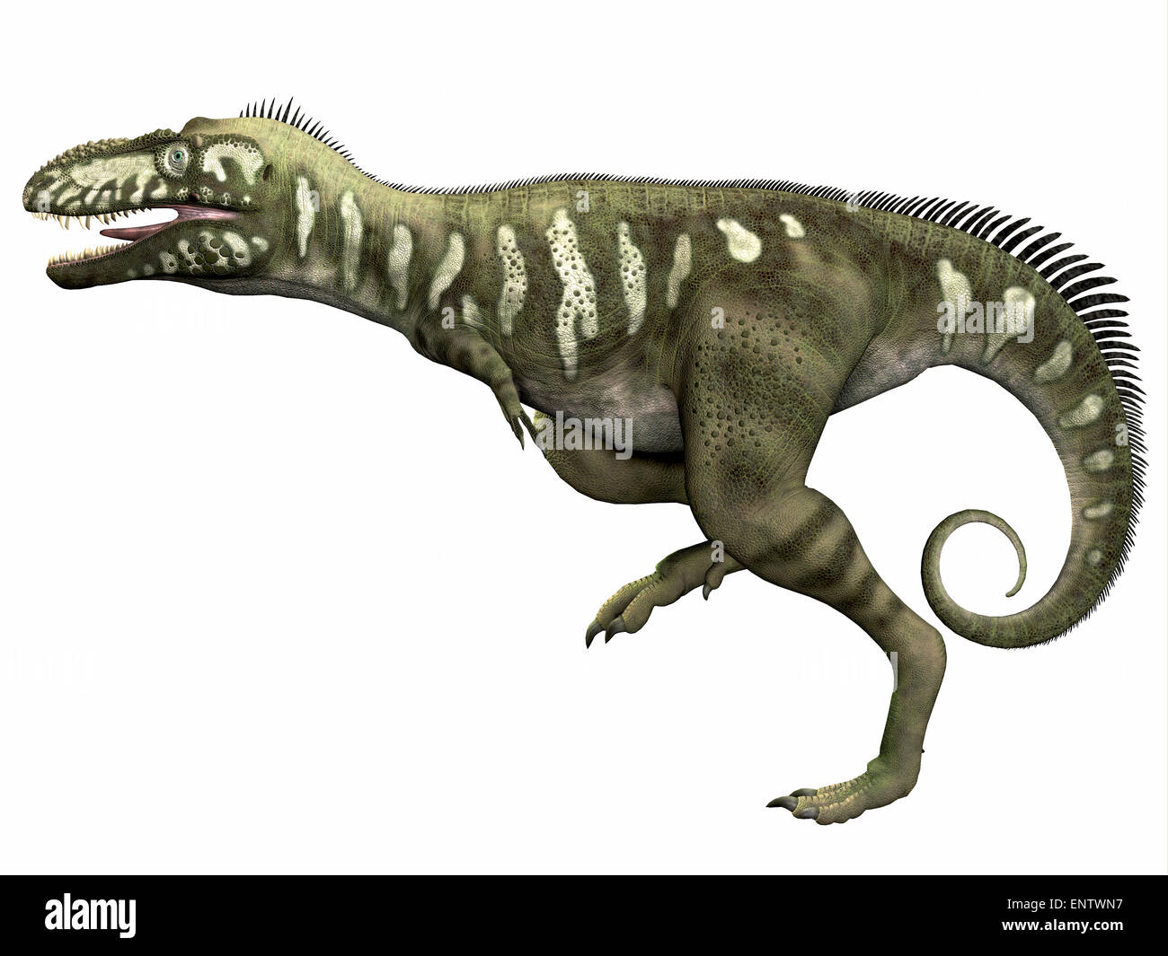 Bistahieversor fue un dinosaurio carnívoro que vivió en el período  Cretácico de Nuevo México Fotografía de stock - Alamy