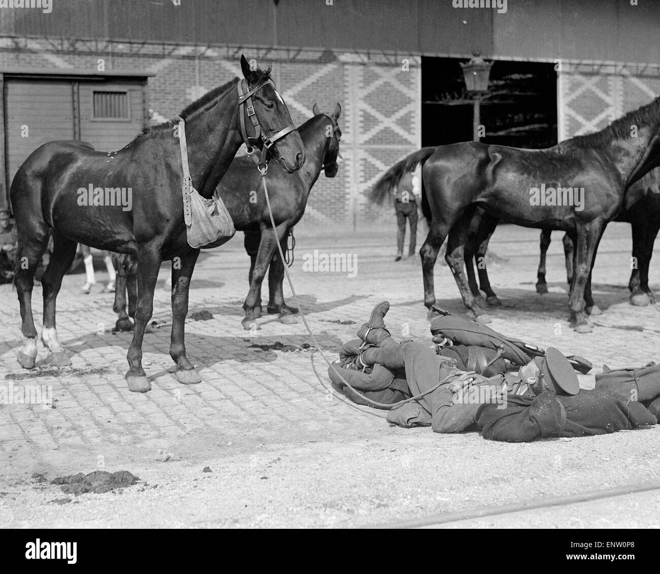 Un soldado británico se toma un descanso mientras esperan a sus caballos para ser cargados a bordo de un buque de transporte con destino a Francia. 10 de septiembre de 1914 Foto de stock
