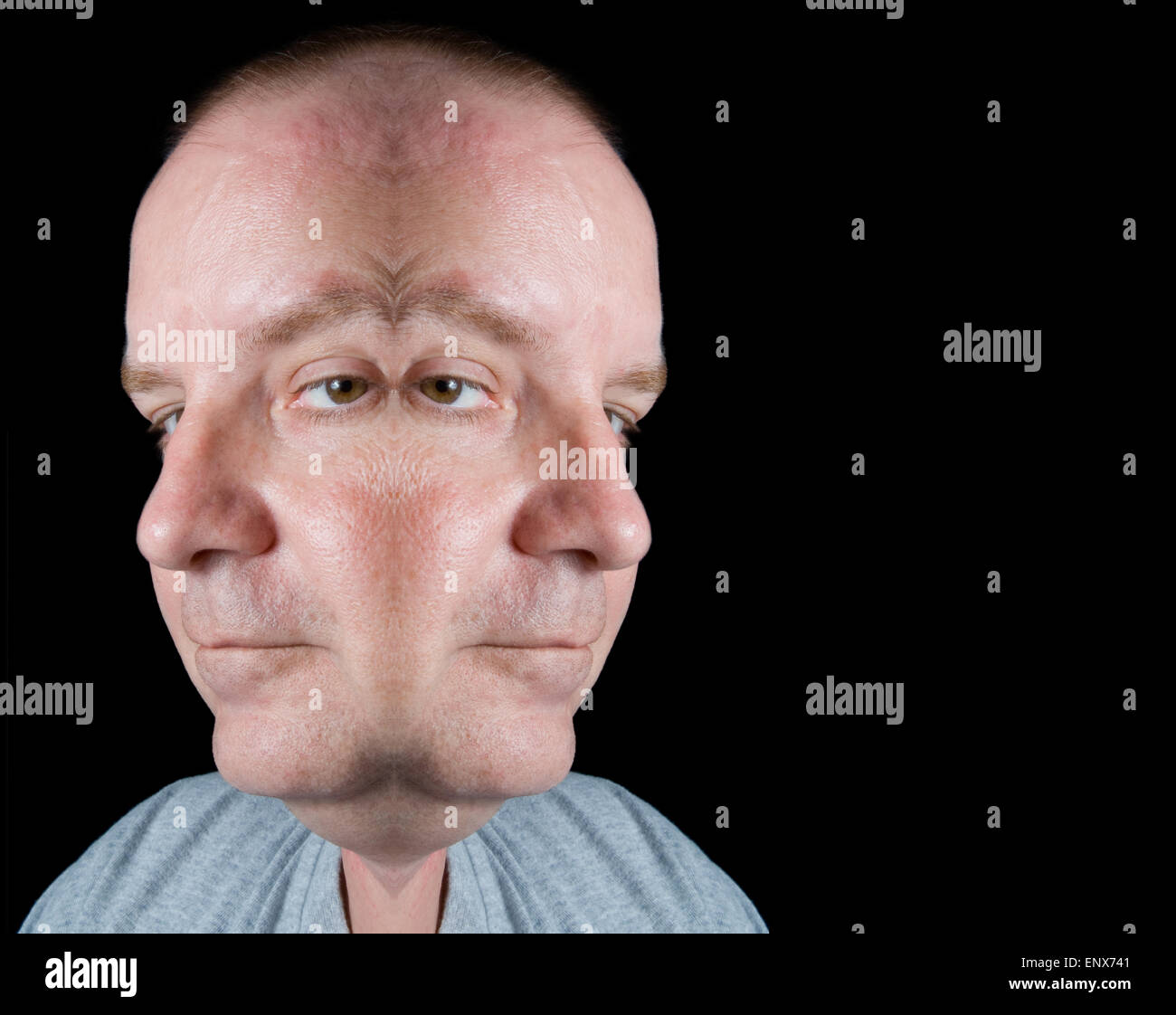 Dos cabezas son mejor que una Fotografía de stock Alamy