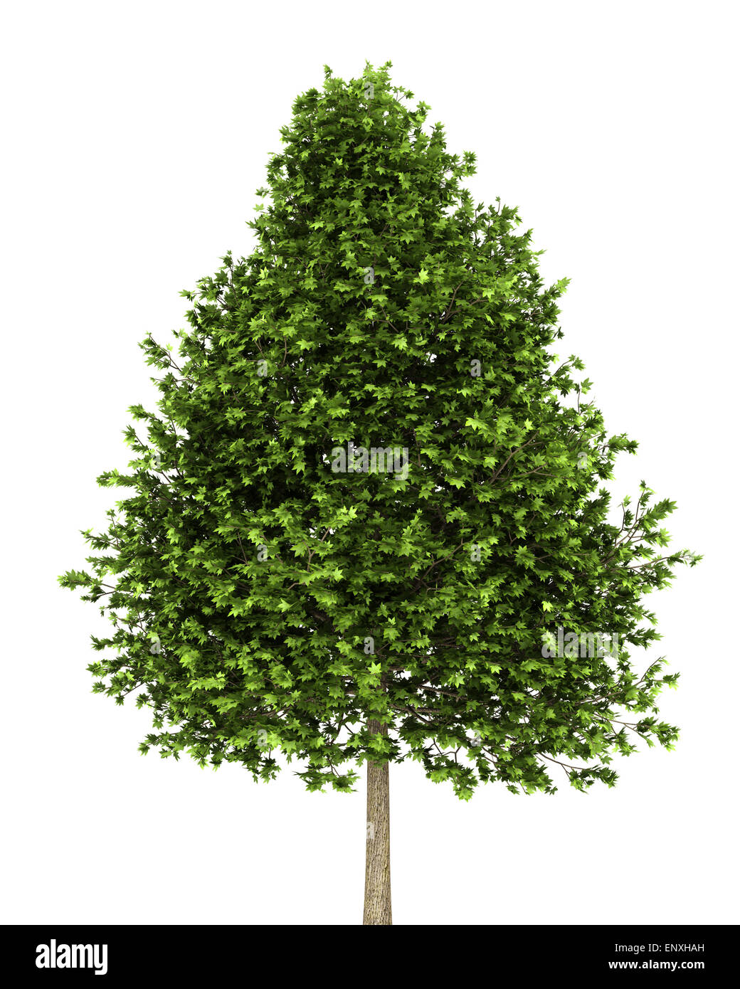 Fondo blanco dulce fotografías e imágenes de alta resolución Alamy