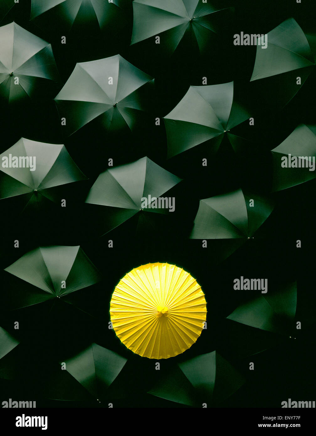 Muchos PARAGUAS paraguas negro y un paraguas amarillo japonés chino Asia Foto de stock