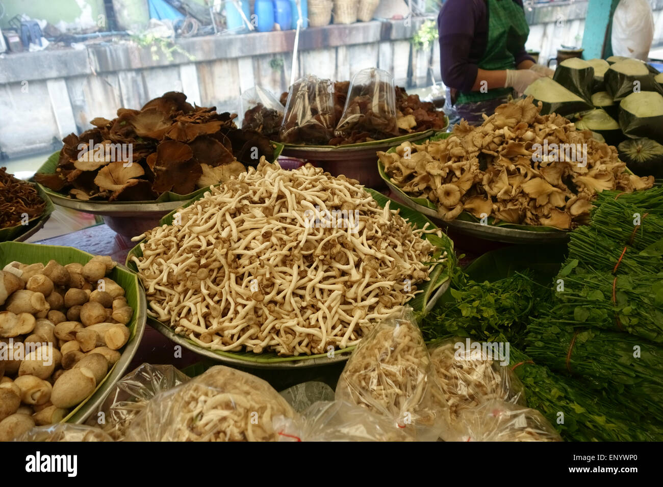 Varios tipos de hongos y setas comestibles locales en un puesto de comida en un mercado de alimentos en Bangkok, Tailandia, febrero Foto de stock