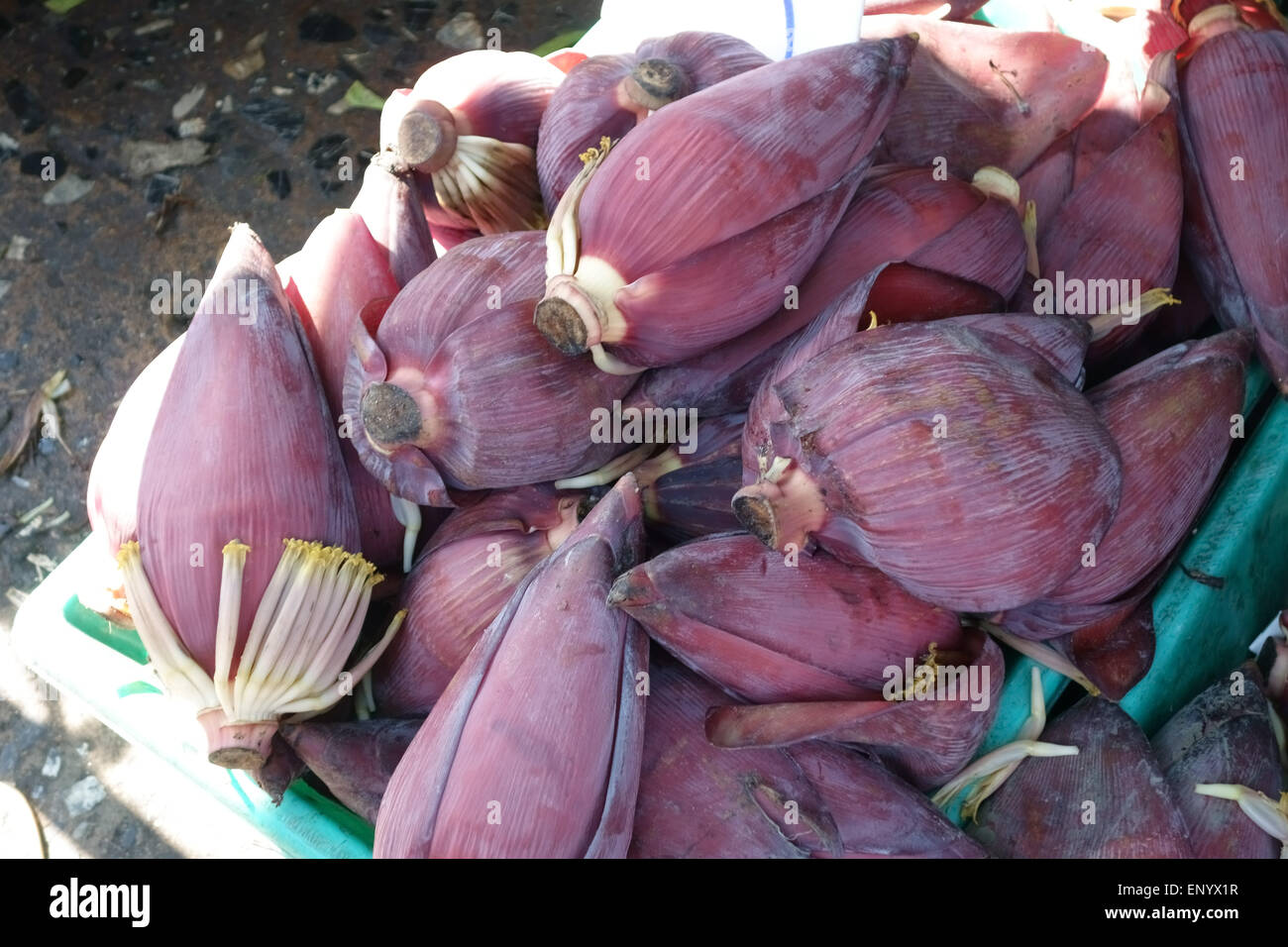 Púrpura flor de plátano macho estéril se usa para cocinar, Hue Plee, en un establo en Bangkok, Tailandia, el mercado de alimentos, Febrero Foto de stock