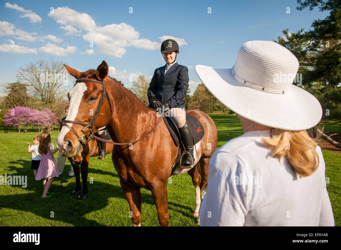 Mujer jockey sentado en un caballo en el condado de Baltimore, MD, EE.UU. Foto de stock