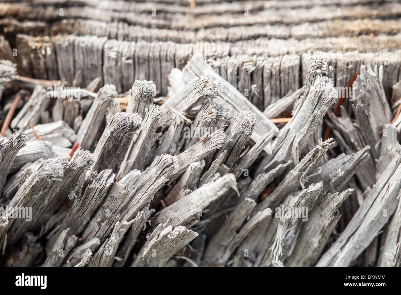 Madera desgastada en Oregón, EE.UU. Foto de stock