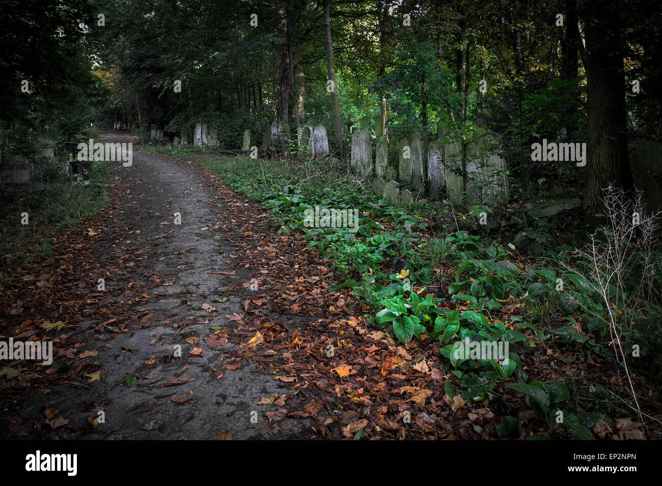Una ruta corriendo a través de Tower Hamlets Cemetery en el East End de Londres. Foto de stock