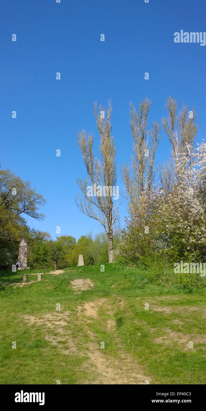 Pole Hill en Epping Forest, famoso por t.e. Lawrence y triangulación