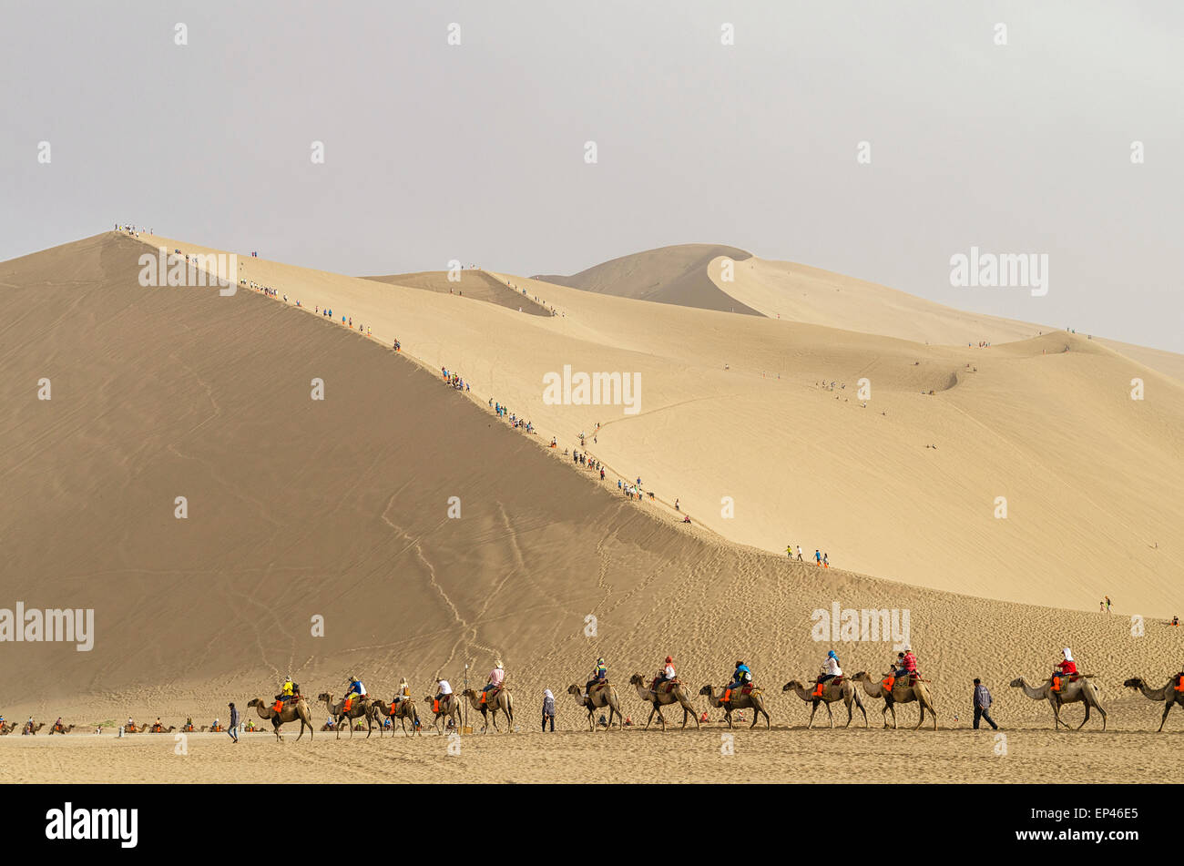 Caravana de camellos con una duna de arena en Dunhuang Provincia de Gansu Seda China Foto de stock