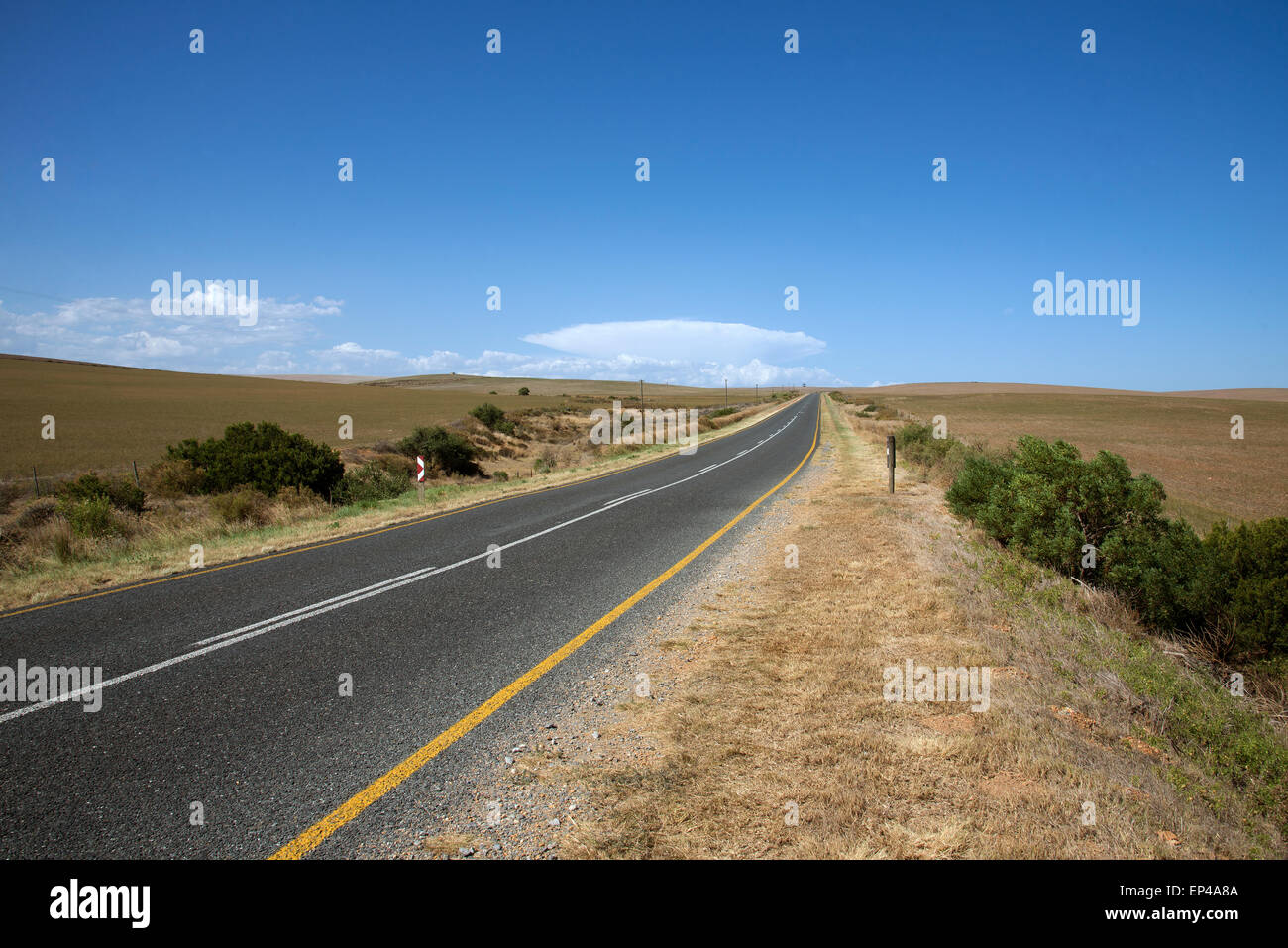 Abrir carretera sin tráfico que pasa a través de la zona del Cabo Occidental de Sudáfrica Foto de stock