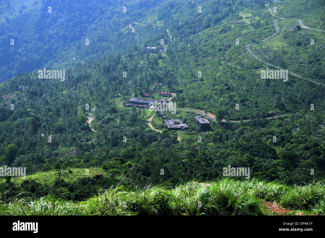 Areal vista de una plantación de té Foto de stock