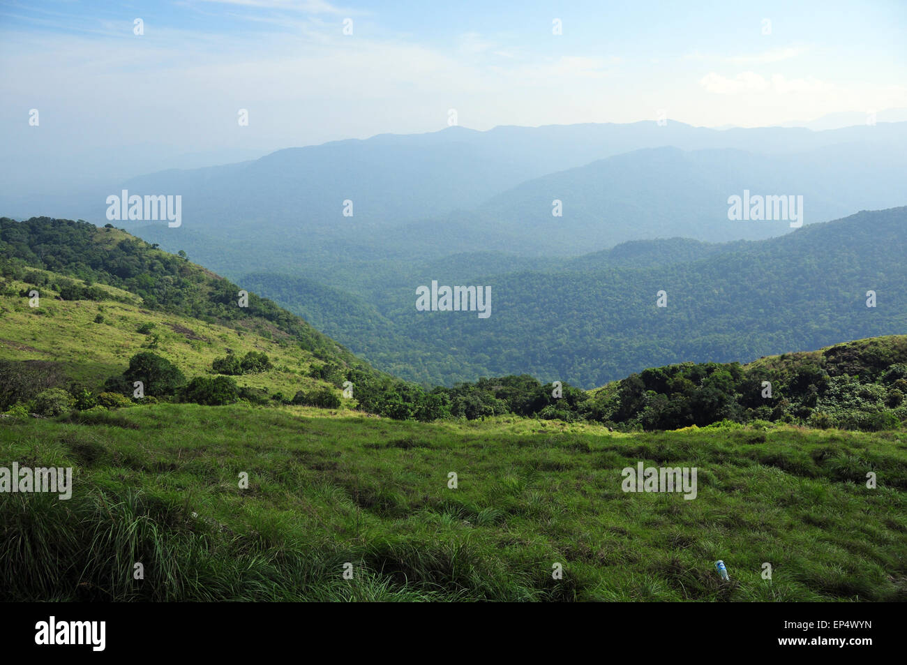 Valle de colina Foto de stock