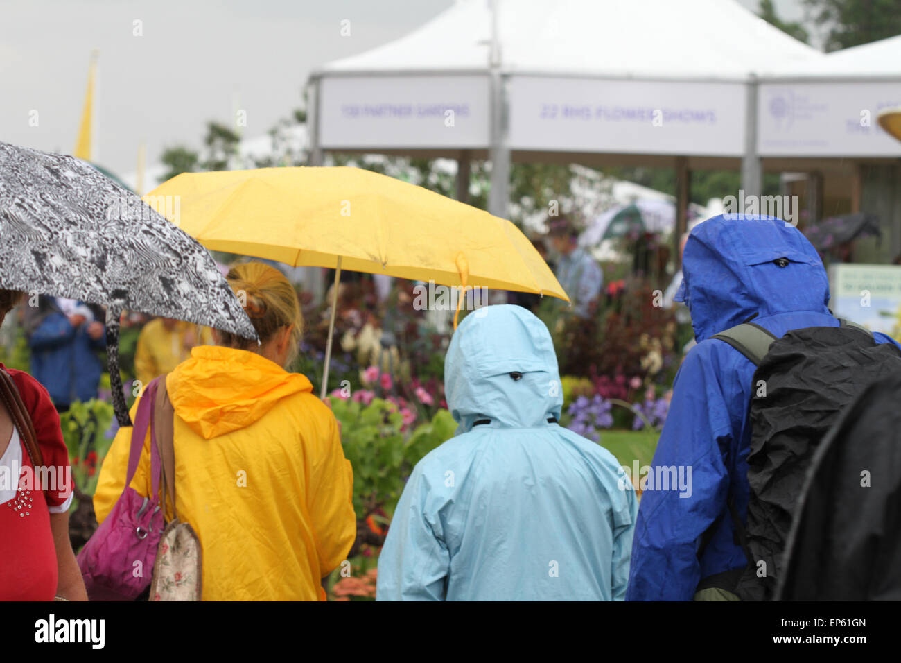 Grupo de personas bajo la lluvia con paraguas y colores brillantes anoraks en RHS Hampton Court Flower Show, julio de 2014 Foto de stock