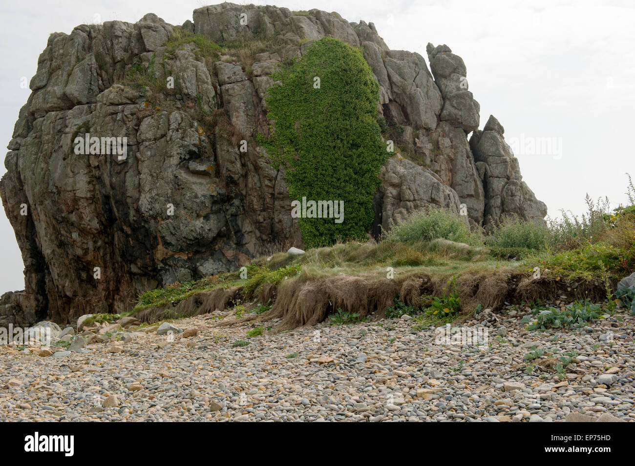 En Küstennähe freigelegter Felsen Foto de stock