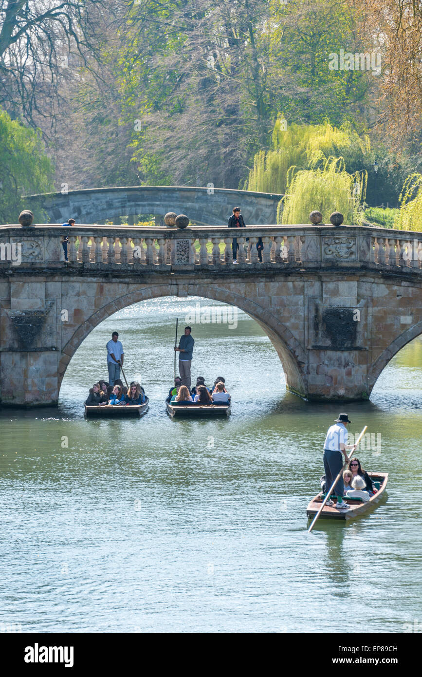 Navegar por el río Cam en Cambridge, Inglaterra, lleva en la espalda de los famosos colegios universitarios y es popular con los turistas. Foto de stock
