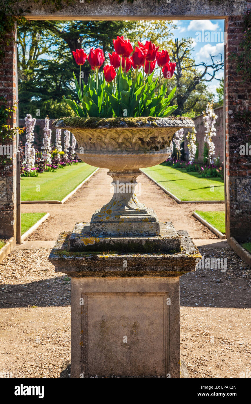 Vista a través de la Avellana Paseo en el jardín amurallado en Bowood House en Wiltshire. Foto de stock