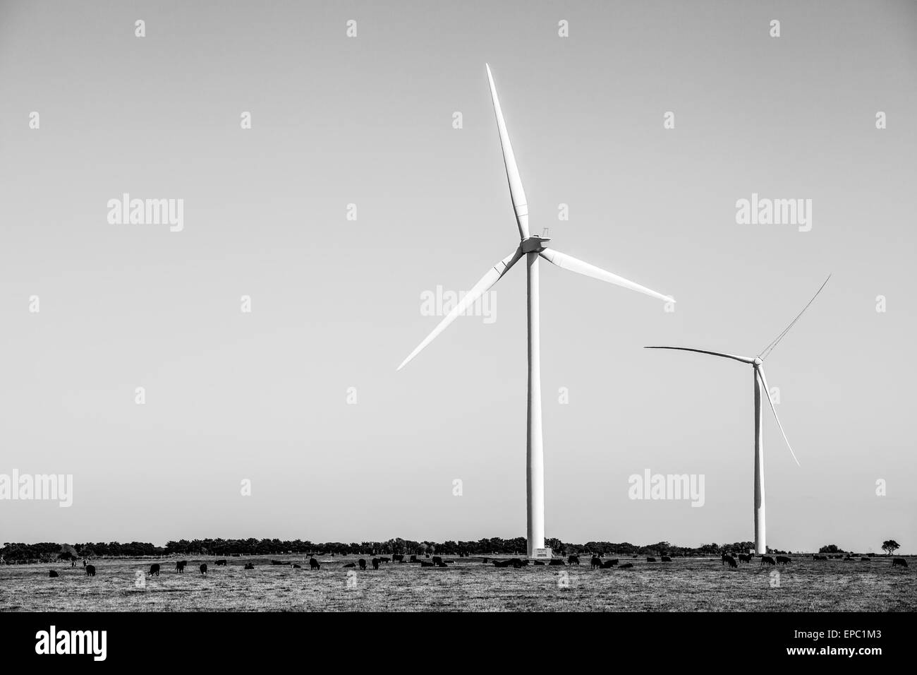 Tres molinos de viento - la producción de energía limpia, Victoria, Australia Foto de stock