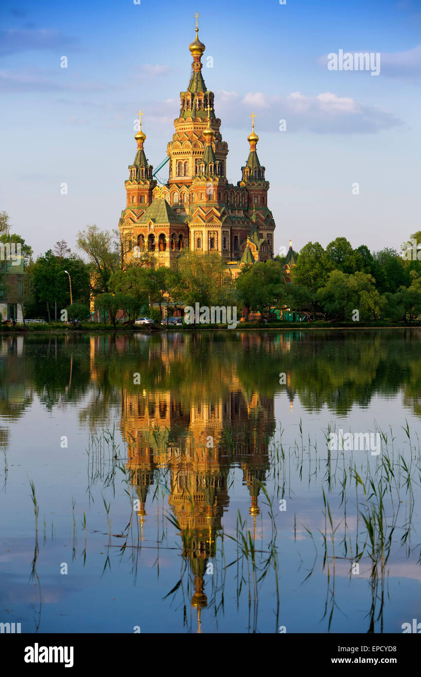 Rusia, Petrodvorets. Iglesia de San Pedro y san Pablo. Foto de stock