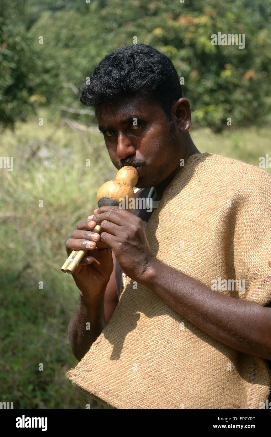 TIRUNELVELI, TAMIL NADU, India, 28 de febrero de 2009: el hombre indio golpes silbar para atraer a las serpientes en Febrero 28, 2009 Foto de stock