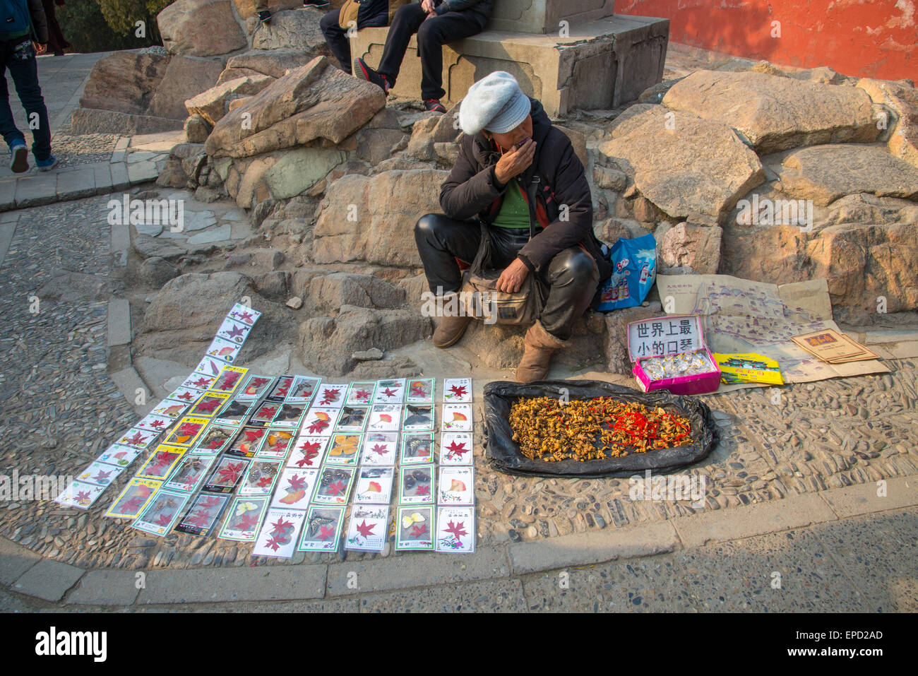 Vendedores ambulantes con souvenirs en el palacio de verano en Pekín, China Foto de stock