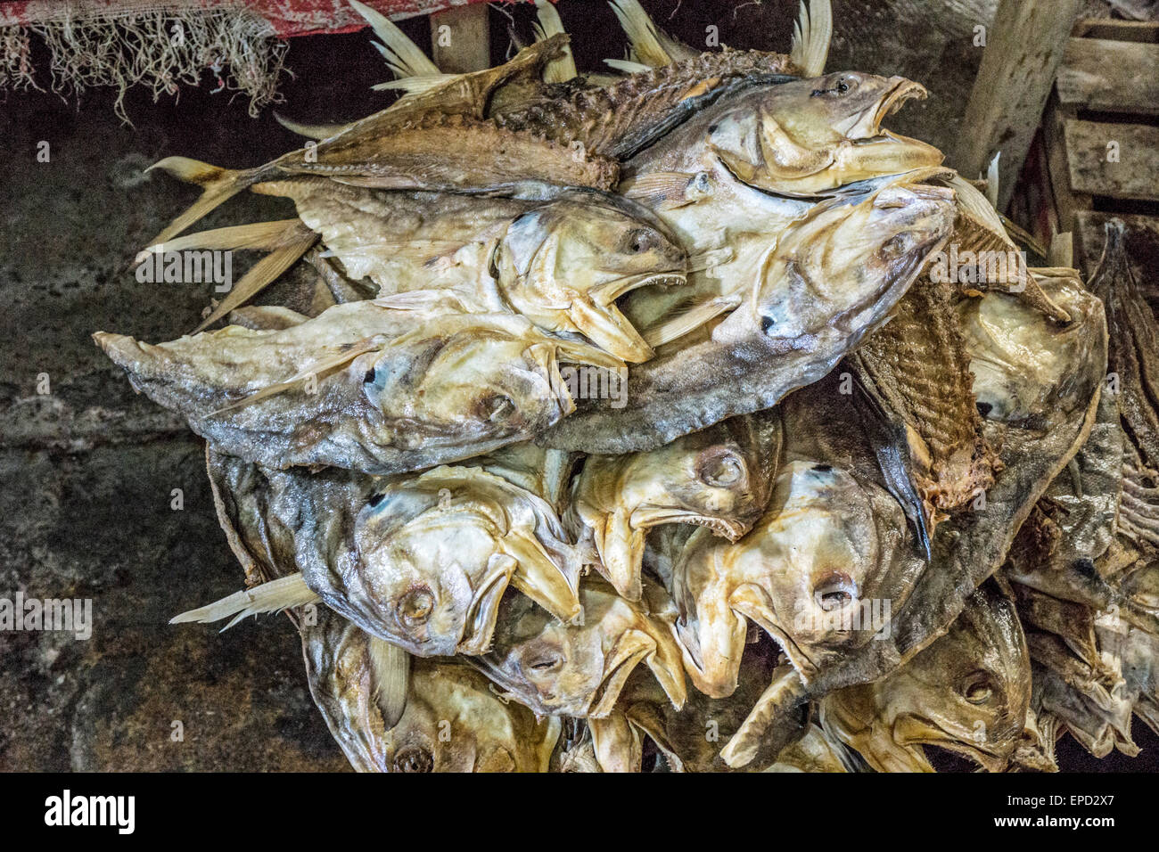 Extrañamente bella forma retorcida de pescado seco en pale preciosas tonalidades de verde azul y oro para la venta en el mercado principal de San Cristóbal Foto de stock