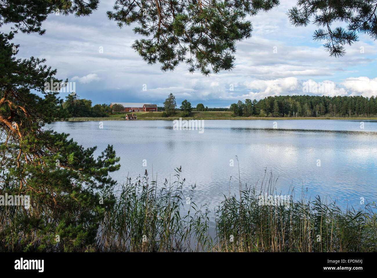 Lago Skogssjon Mjolby, Suecia Foto de stock