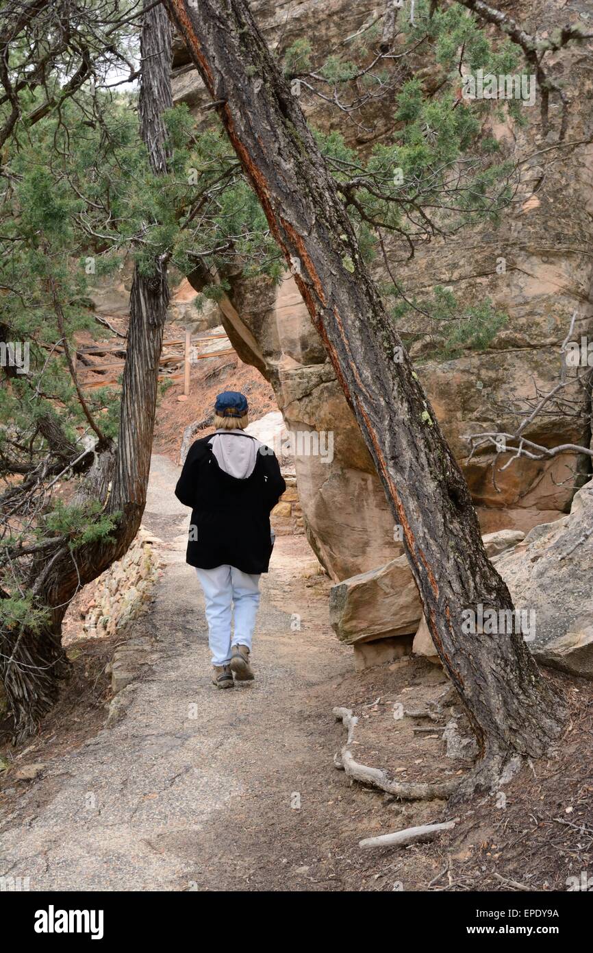 Senior Citizen senderismo Mesa Loop Trail monumento nacional el Morro Nuevo México - Estados Unidos Foto de stock