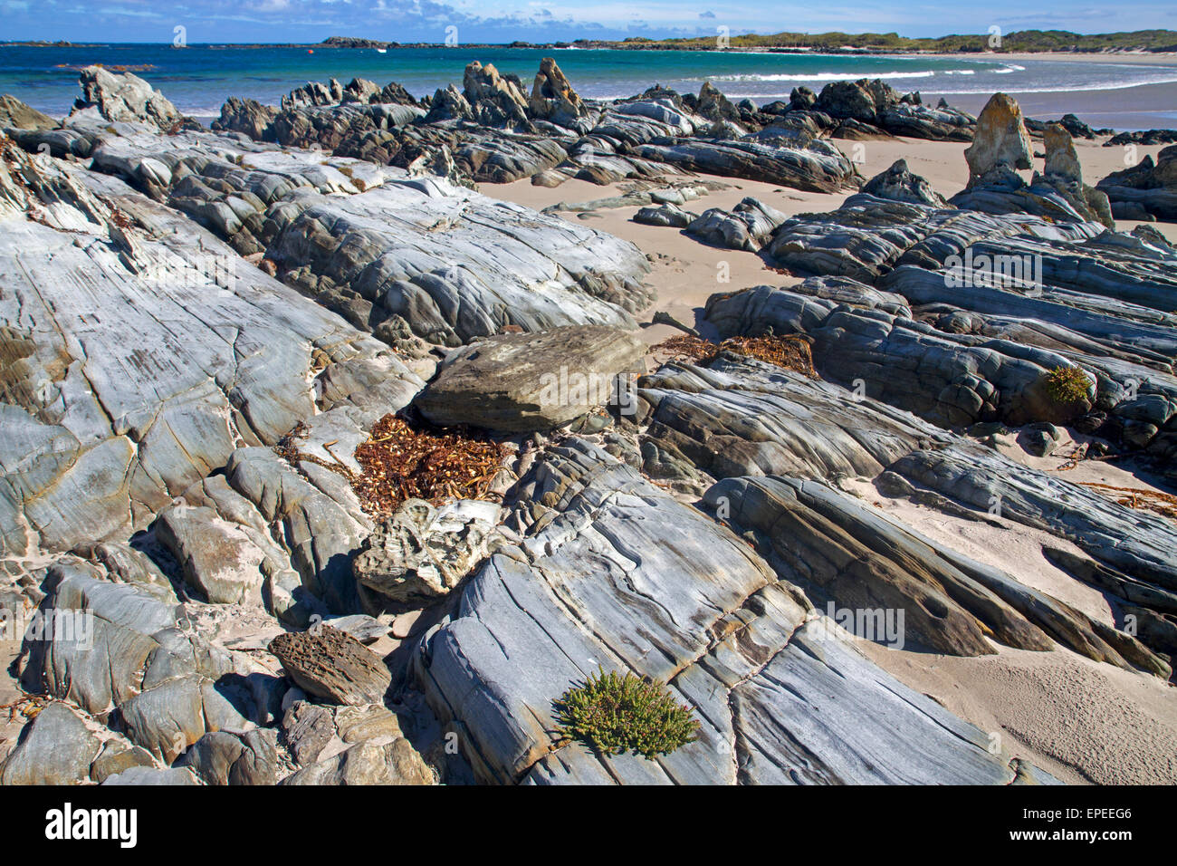 Playa de Nelson Bay, en la costa oeste de Tasmania Foto de stock