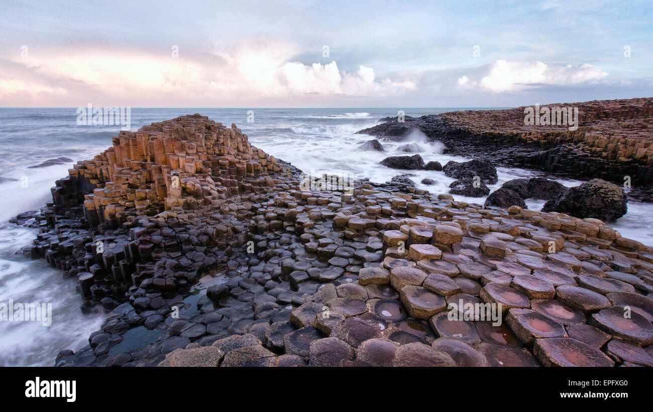 Los Giants Causeway en Irlanda del Norte Foto de stock