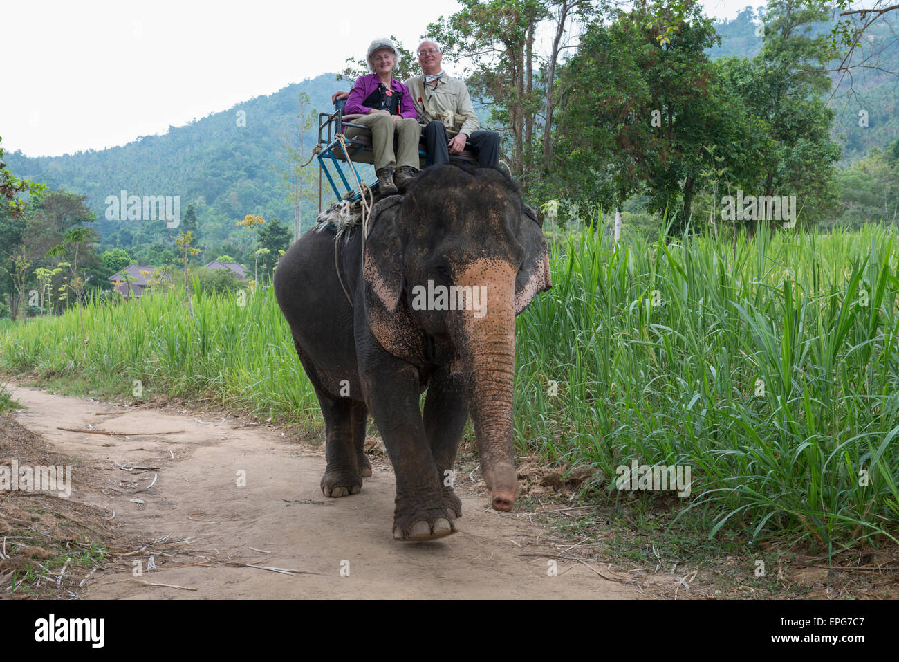 Tailandia, la isla de Samui, Ko Samui. Los turistas de típico paseo del elefante en Ko Samui. Modelo liberado. Foto de stock