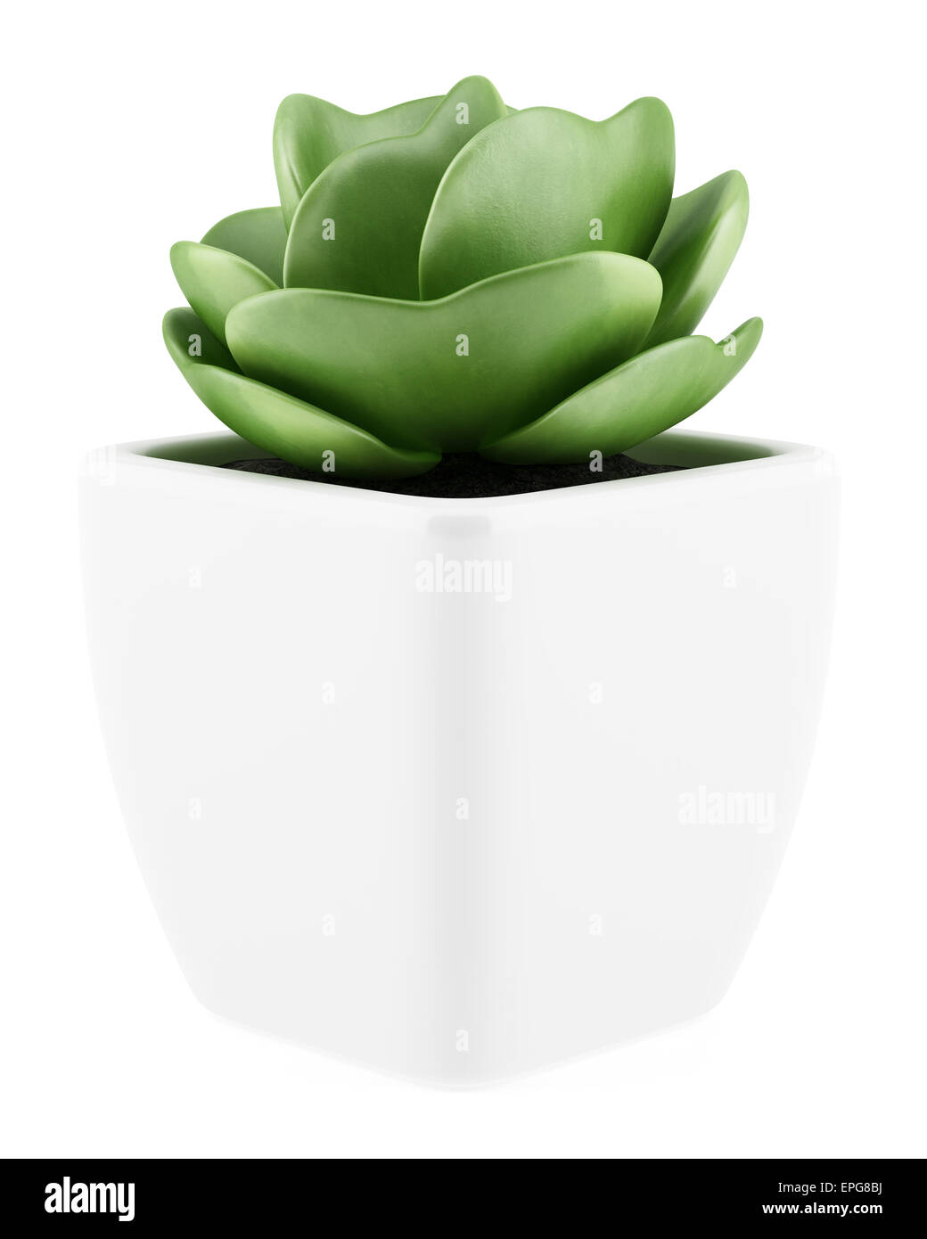 En houseplant pot aislado sobre fondo blanco. Foto de stock