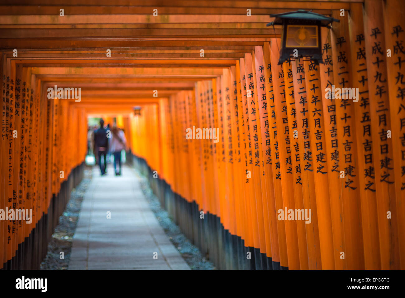 Rojo torii del santuario Fushimi Inari, Kioto, Japón Foto de stock