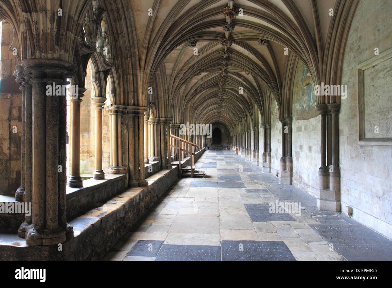 Los claustros de la catedral de Norwich, piedra caliza construida, Norwich, Norfolk, Reino Unido Foto de stock