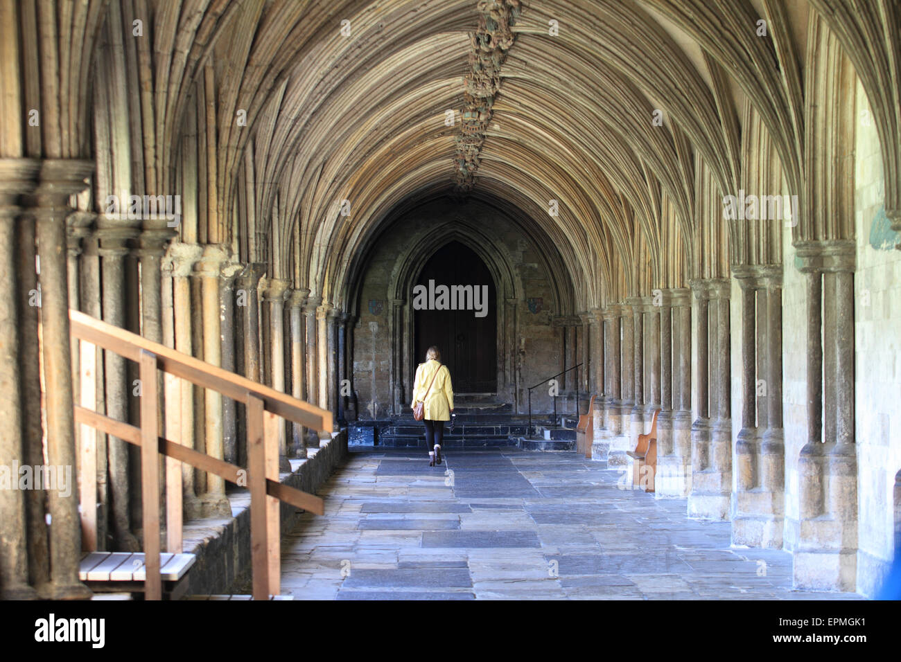 Los claustros en la Catedral de Norwich, señora amarilla top walking, Norwich, Norfolk, Reino Unido Foto de stock