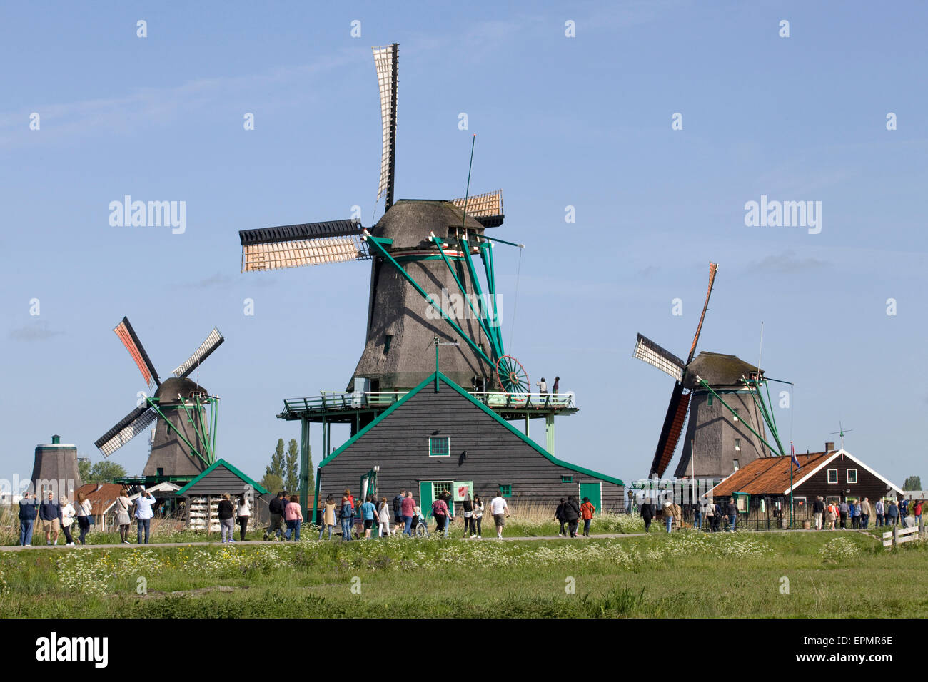 Molinos de viento en Zaanse Schans, molinos de viento antiguo holandés de trabajo a lo largo del río de Zaan Foto de stock