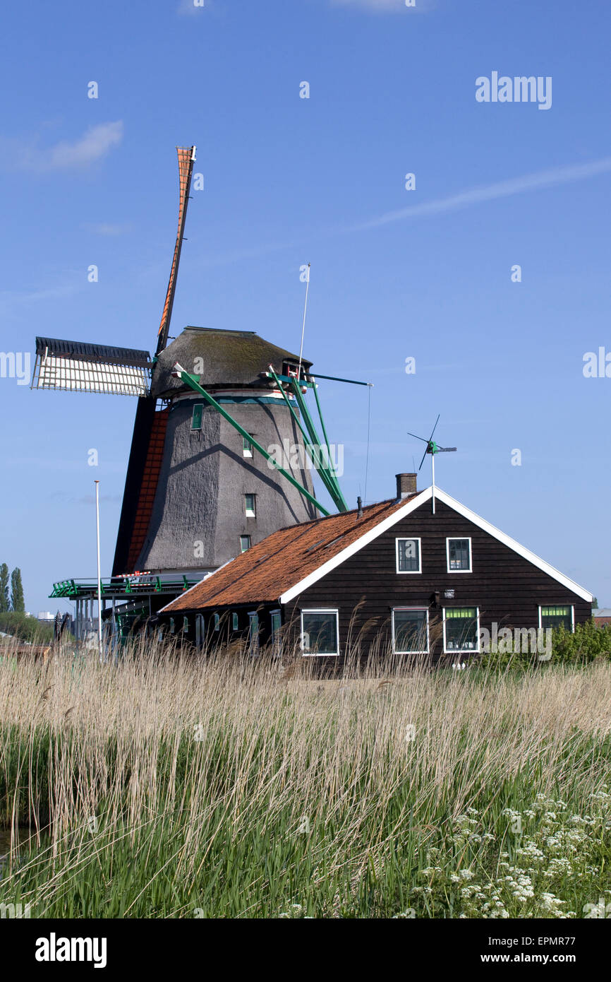 Molinos de viento en Zaanse Schans, molinos de viento antiguo holandés de trabajo a lo largo del río de Zaan Foto de stock