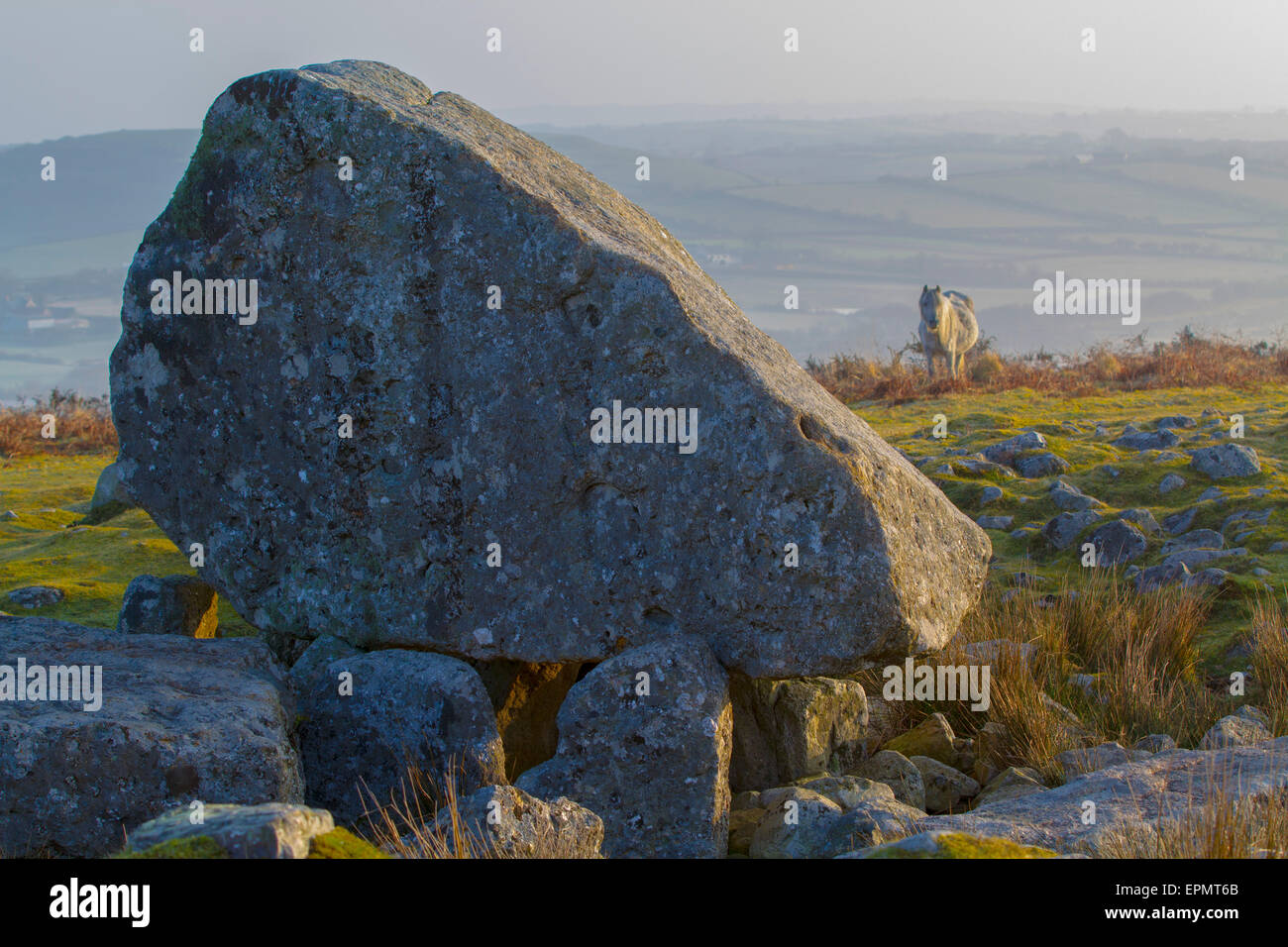 Arthur's Stone Maen (CETI), una cámara de enterramiento neolítico, la Península de Gower, Swansea, Glamorgan, Wales, Reino Unido Foto de stock