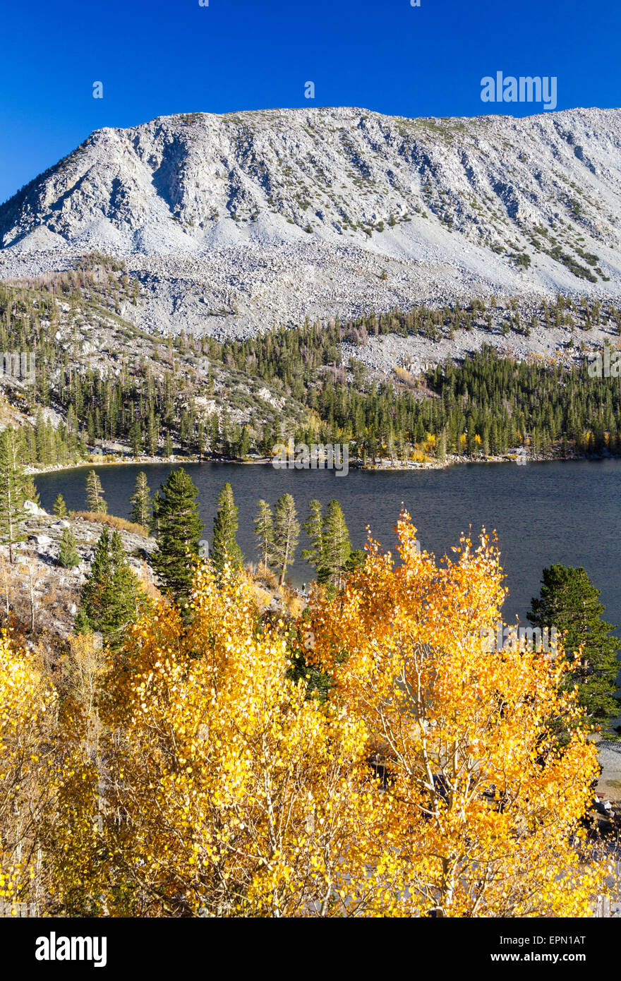 Otoño en Rock Creek Lake, en la parte oriental de Sierra Foto de stock