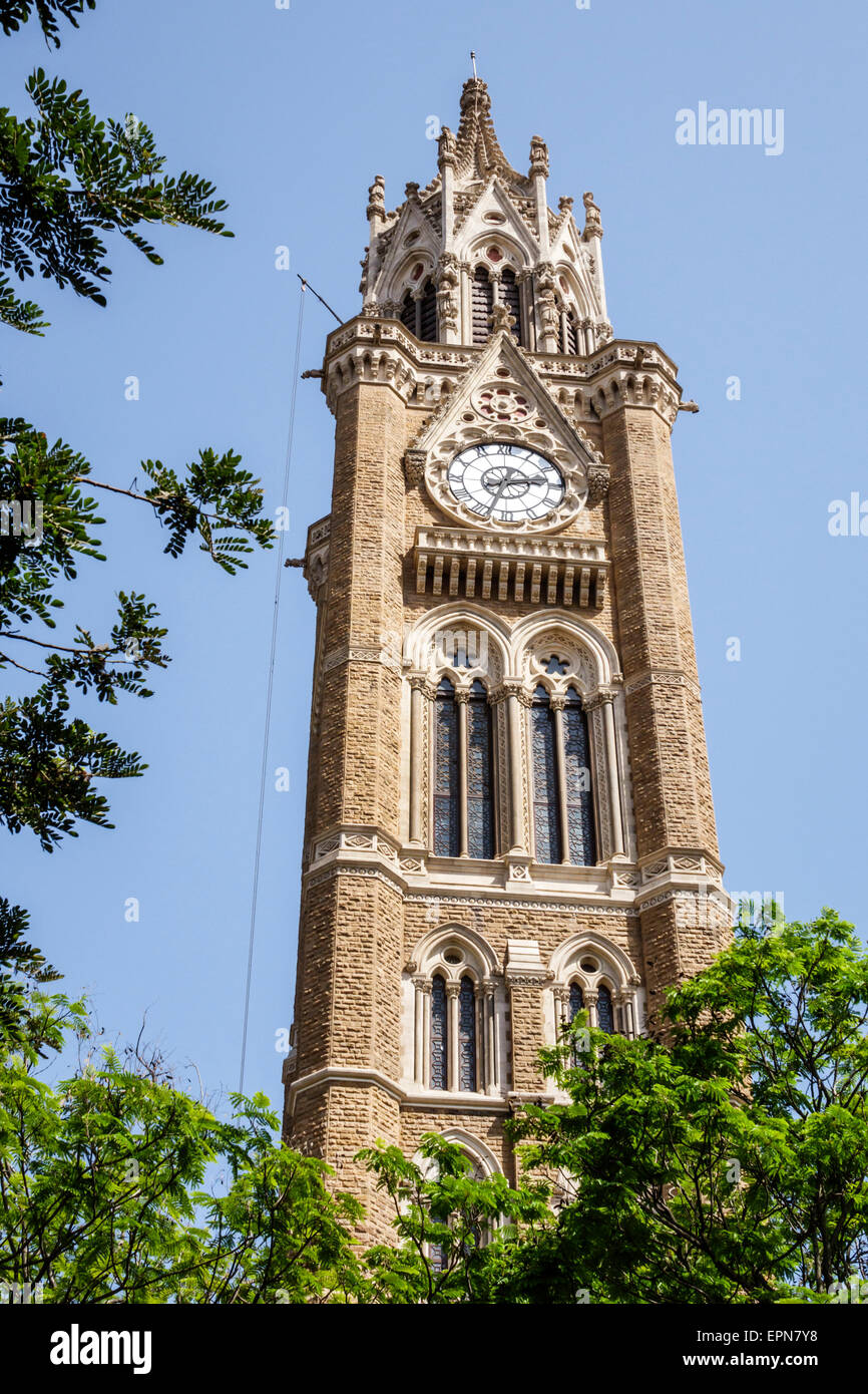 Mumbai India, Fort Mumbai, Kala Ghoda, Rajabai Torre del Reloj, estilo gótico veneciano, color buff, piedra Kurla coloreada, Universidad de Mumbai, India150227164 Foto de stock