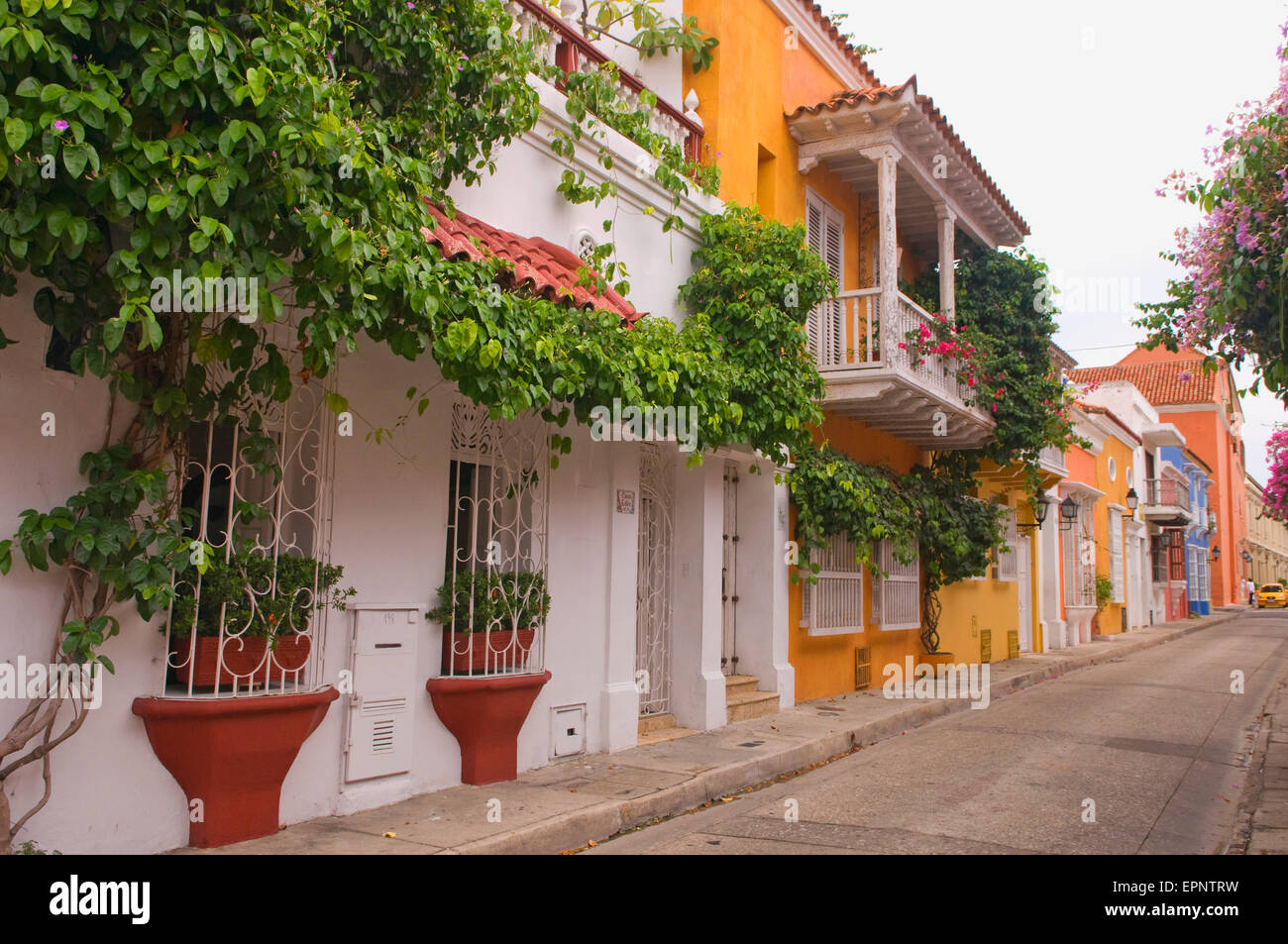 Coloridas (típico), cubierto de flores coloridas casas en Cartagena, Colombia, Sur America Foto de stock