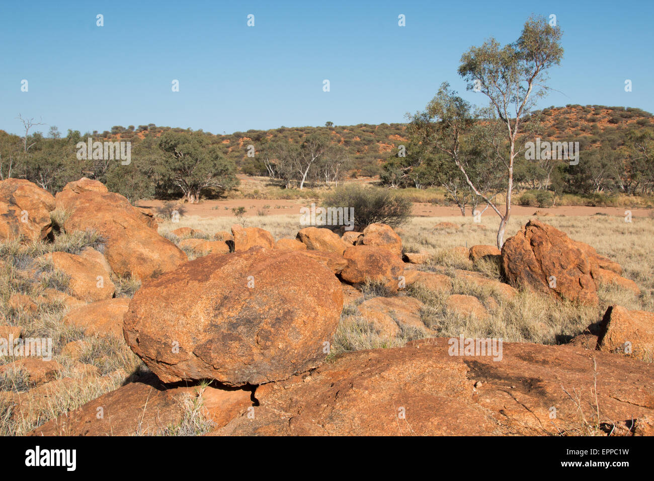 Los cantos rodados de piedra arenisca roja en seco, con poca vegetación boscosa sclerophyll hábitat, Territorio del Norte, Australia Foto de stock