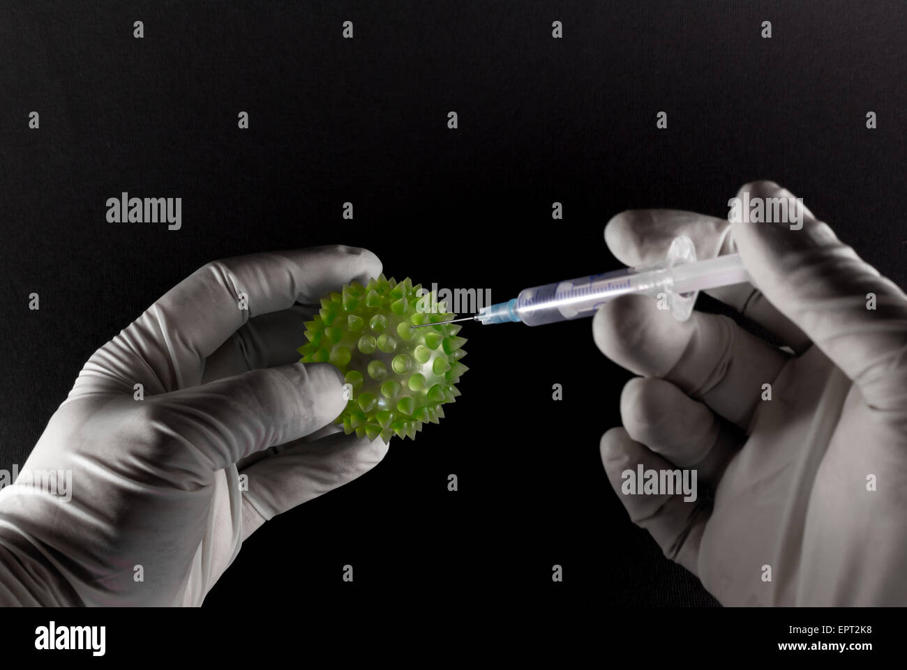 Dos manos revestido de látex inyectando una jeringa hipodérmica en una gran virus verdes sobre fondo negro Foto de stock