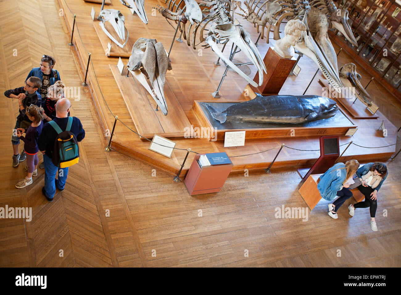 Vista aérea Galeries d'Anatomie comparée et