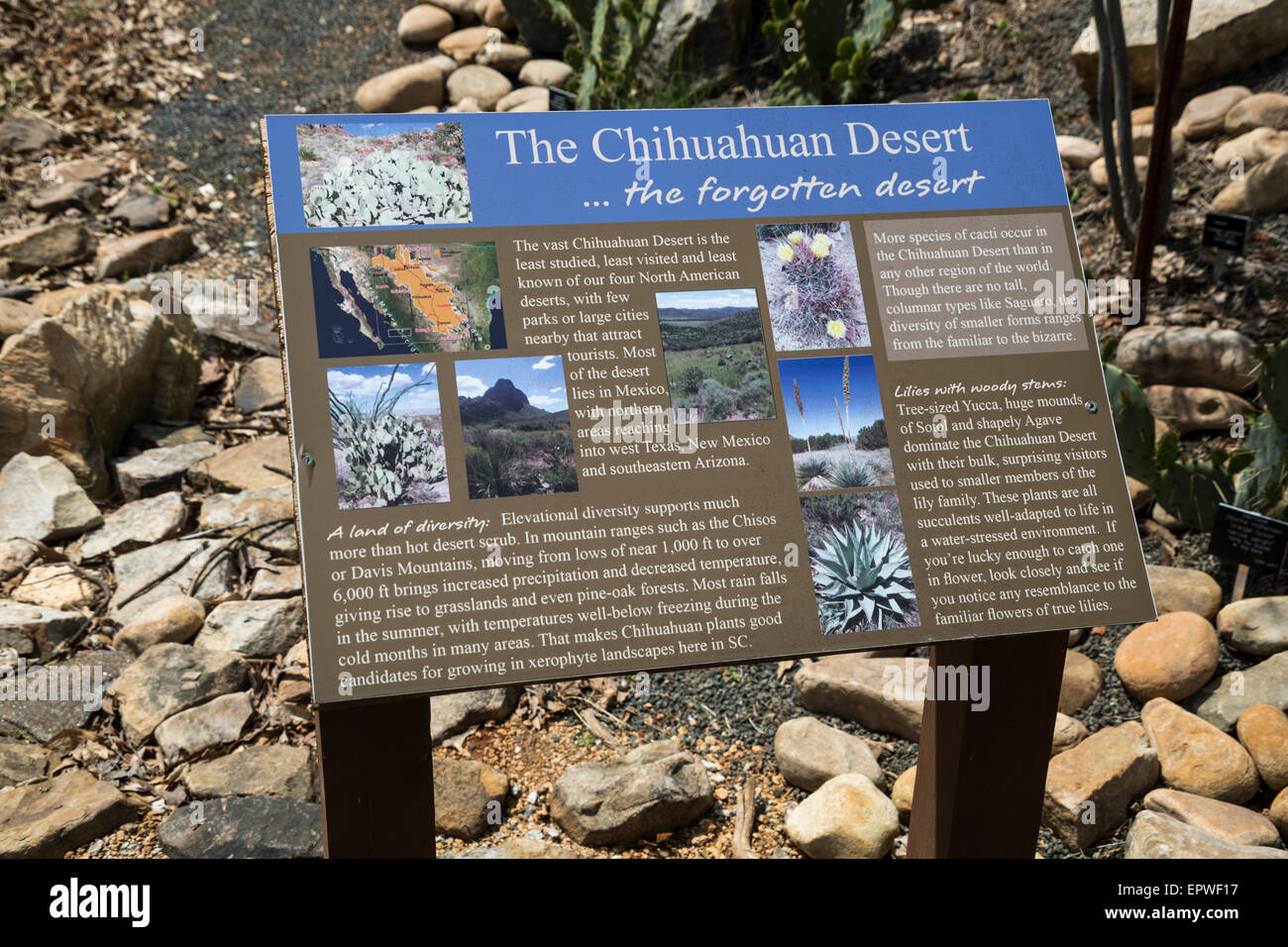 Desierto Chihuahuense signo, Bob Campbell, Museo de Geología, Carolina del Sur, Jardines Botánicos, Clemson, Carolina del Sur, EE.UU. Foto de stock