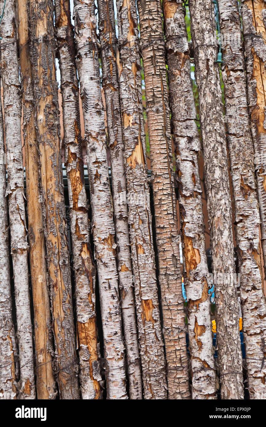 Bien espaciadas y postes de madera hecha de pinon o madera de enebro se  utilizan tradicionalmente para la construcción de una valla de coyote,  Santa Fe, Nuevo México, EE.UU Fotografía de stock -