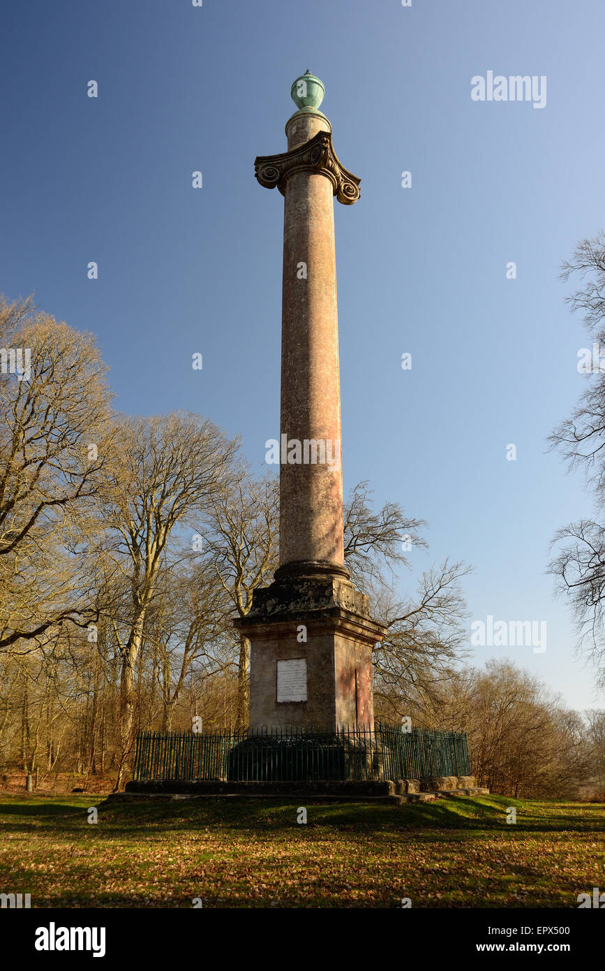 Columna Ailesbury, erigido en 1781 para celebrar el regreso a la salud del Rey Jorge III. Foto de stock