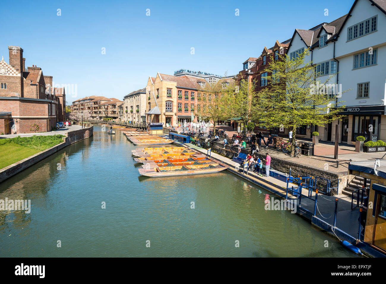 Punts en reposo sobre el río Cam en Cambridge, Reino Unido Foto de stock