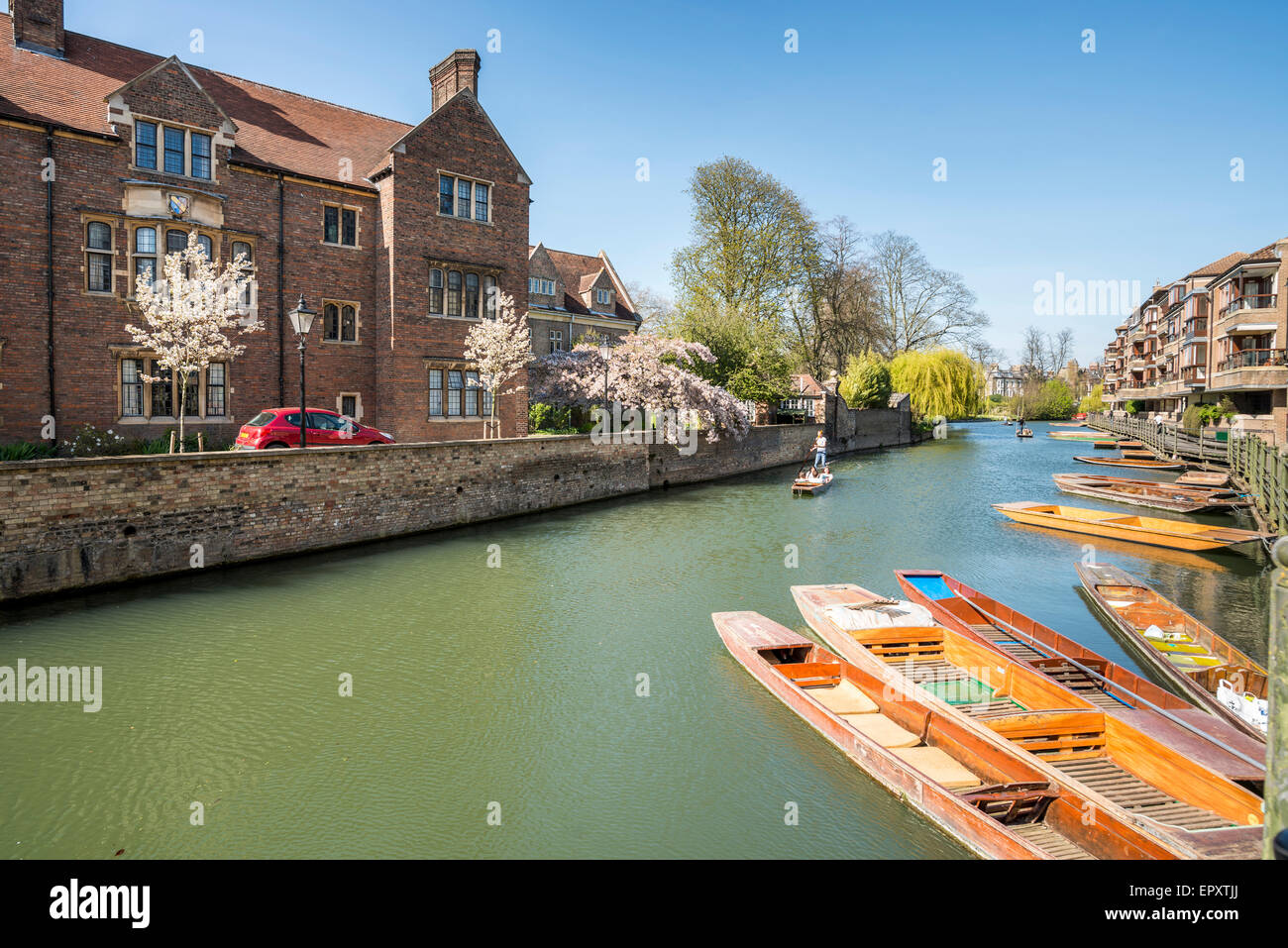 Punts en reposo sobre el río Cam en Cambridge, Reino Unido Foto de stock